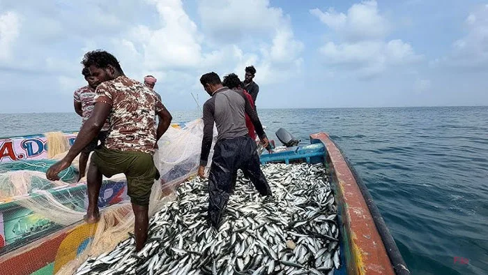 fishermen-Sea.jpg