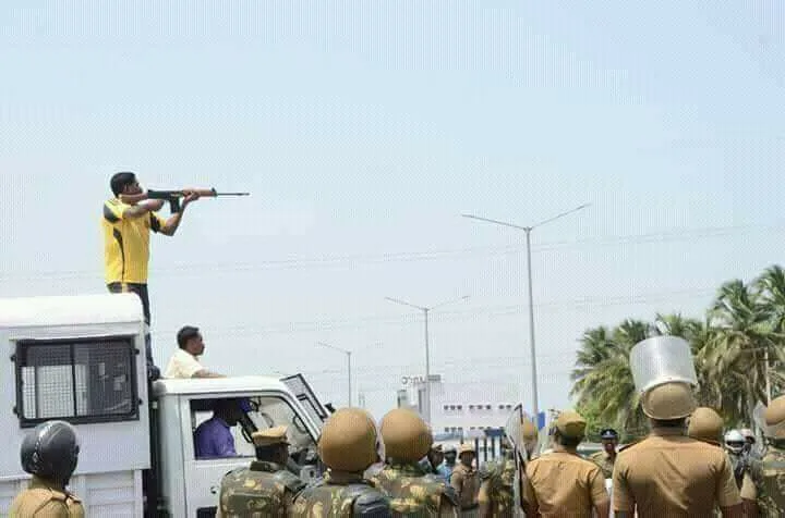 tutyshootings.jpg