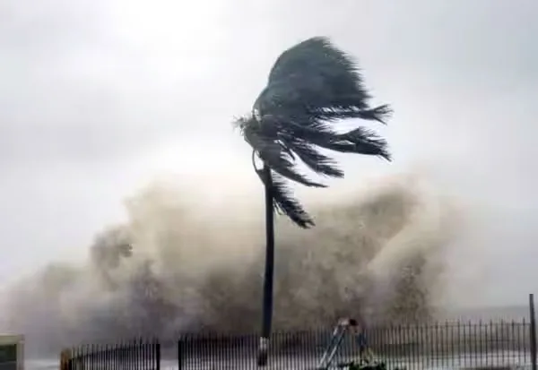 cycloneimage.jpg