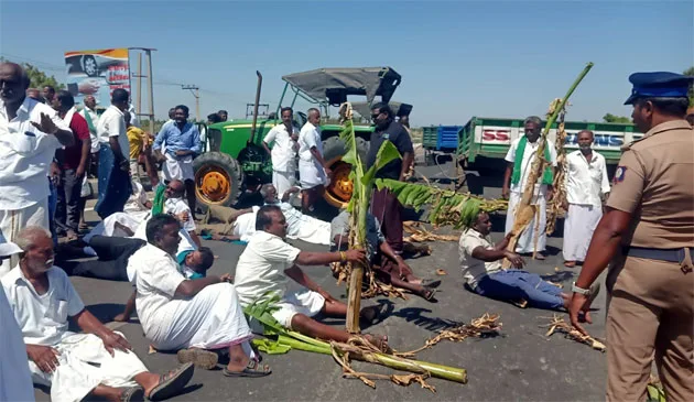 farmersalaimariyal.jpg