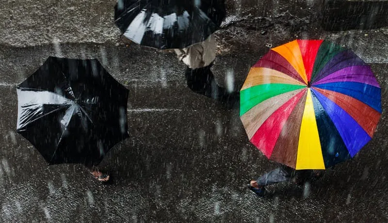 RainUmbrella.jpg