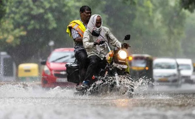 rainfile.jpg