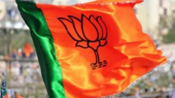 bjpflag.jpg