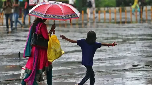 RainImages4.jpg