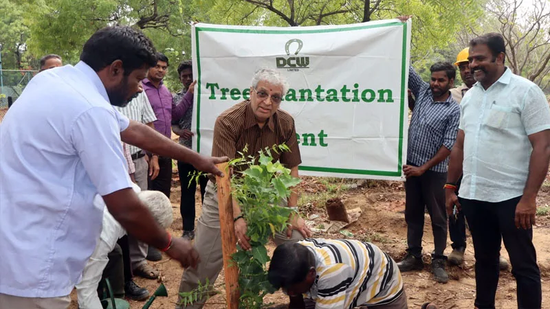 DCWTreeplant.jpg