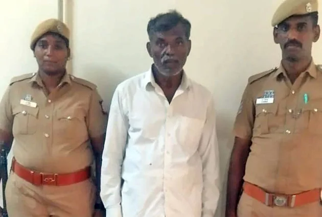 Pocsosattai.jpg
