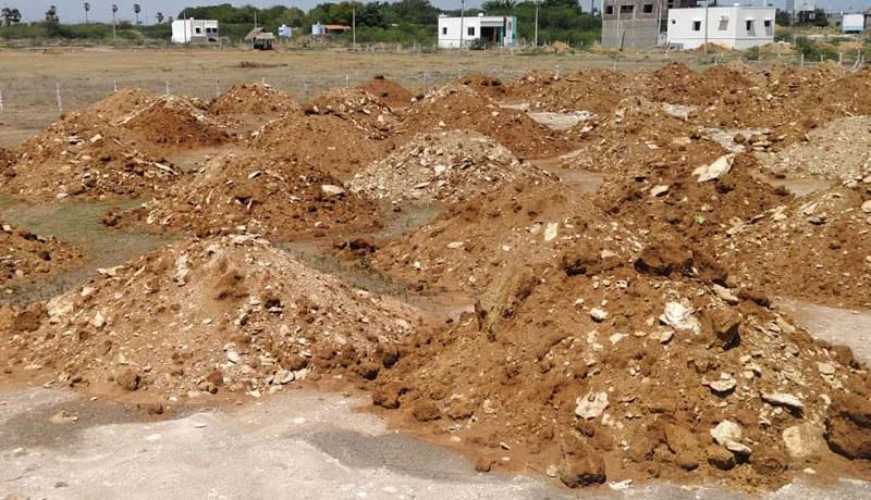 sandi4.jpg