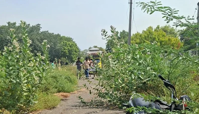 tutyMayanam.jpg